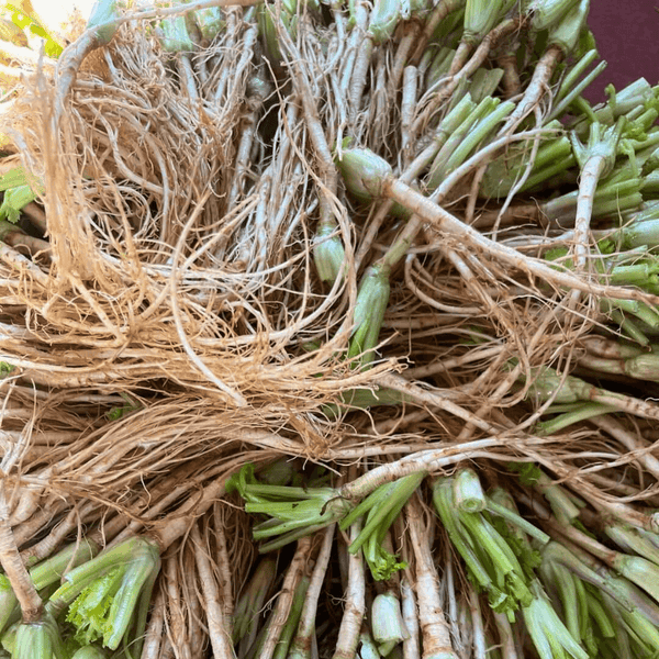 Nam Yam - Scharf - Saures Thai Dressing - Yak Thai