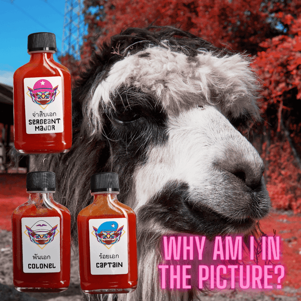 The Sergeant Major - Thai Hot Sauce - Yak Thai